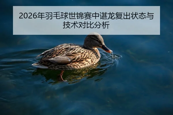 2026年羽毛球世锦赛中谌龙复出状态与技术对比分析