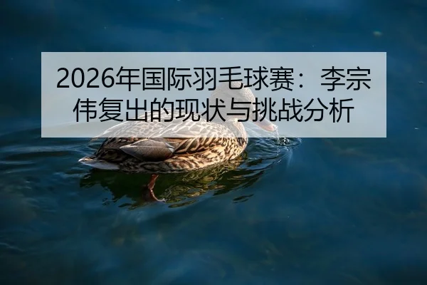 nian-guo-ji-yu-mao-qiu-sai-li-zong-wei-fu-chu-de-xian-zhuang-yu-tiao-zhan-fen-xi-2-872.jpg