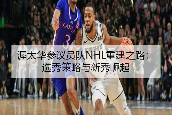 渥太华参议员队NHL重建之路：选秀策略与新秀崛起